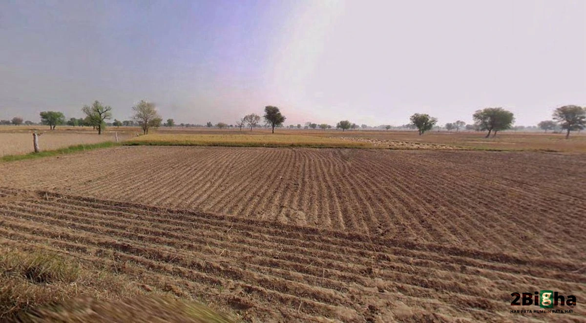 Chhatarpur, Madhya Pradesh 471001, India