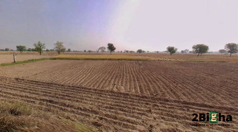Chhatarpur, Madhya Pradesh 471001, India preview 2