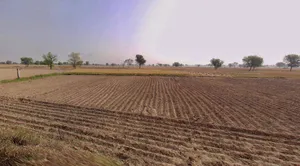 Chhatarpur, Madhya Pradesh 471001, India preview 2