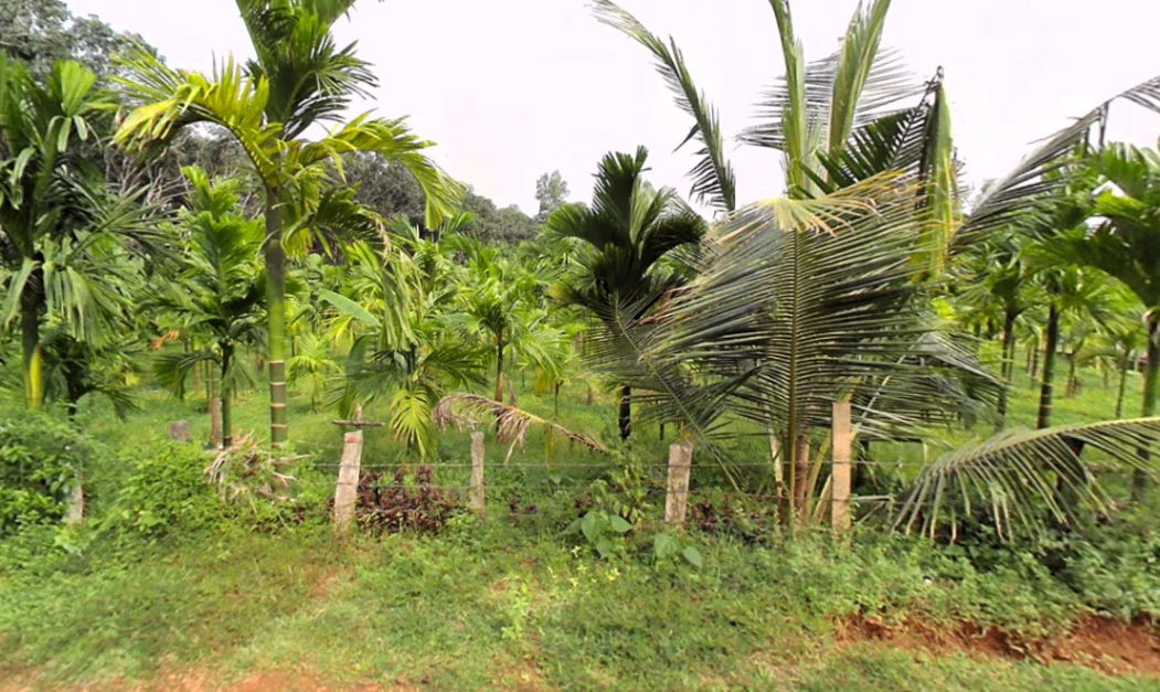 Belthangady, Karnataka 574214, India