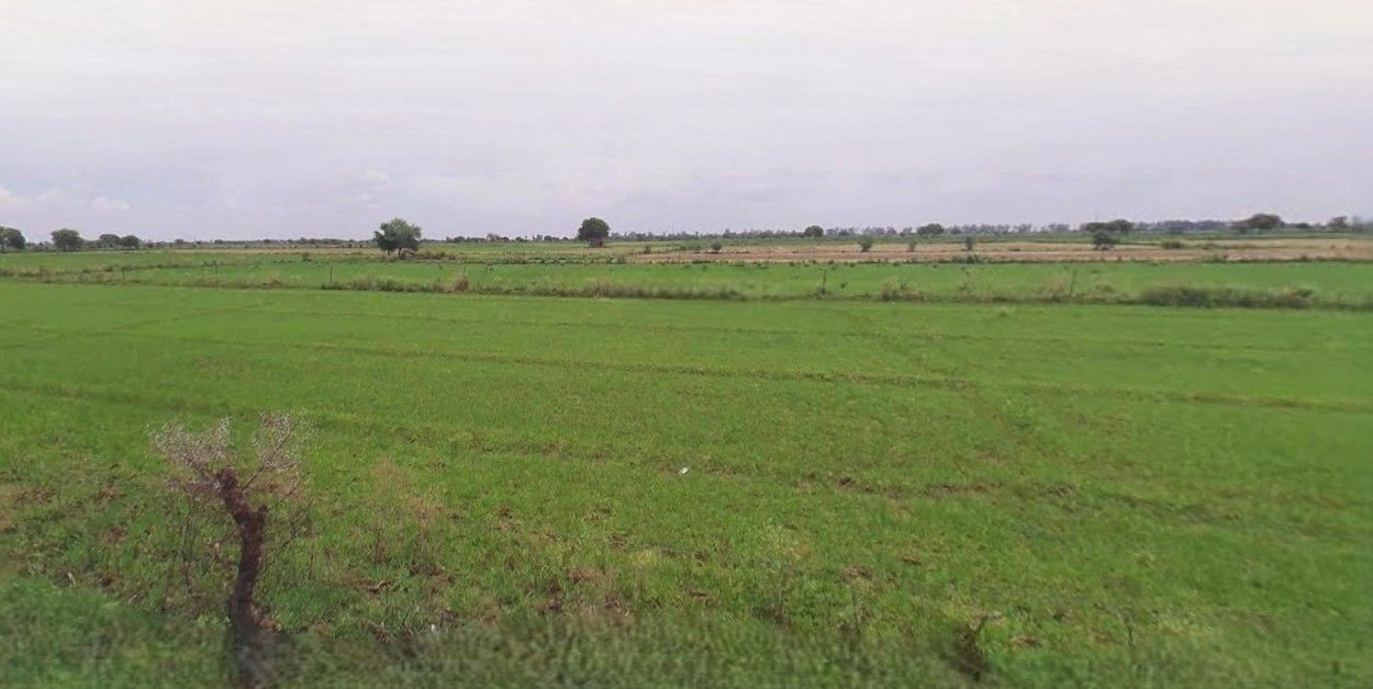 Nakur, Uttar Pradesh 247342, India