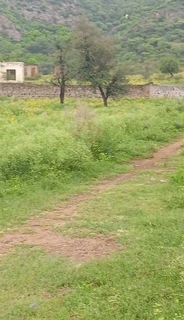 Neemrana, Rajasthan - Photo 5