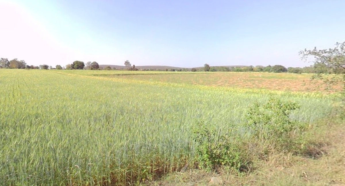 Parsoli, Madhya Pradesh 456550, India
