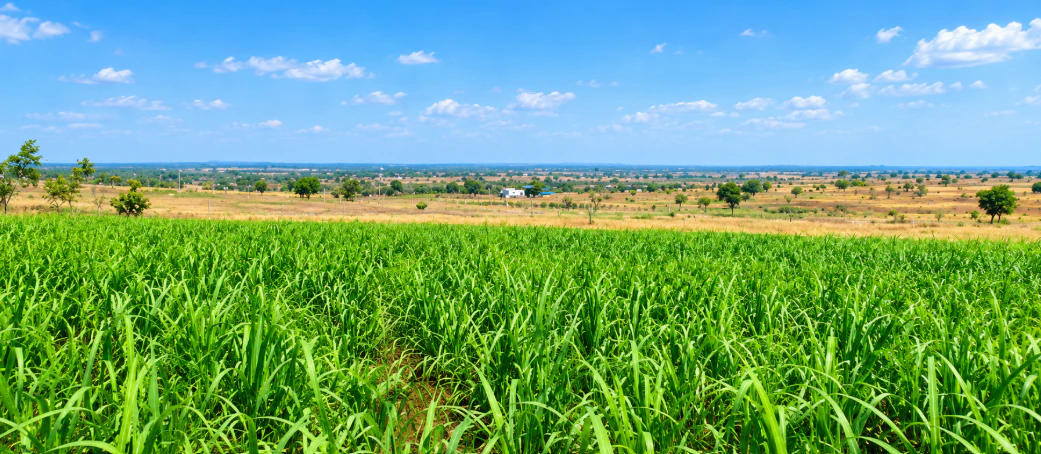 3H39+43V, Sangareddy, Audathpur, Telangana 502286, India