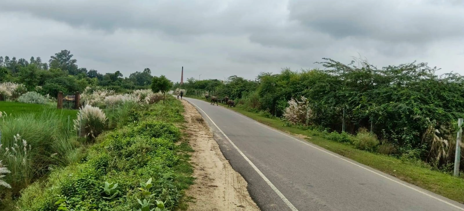 Mohanlalganj, Lucknow, Uttar Pradesh 226301, India