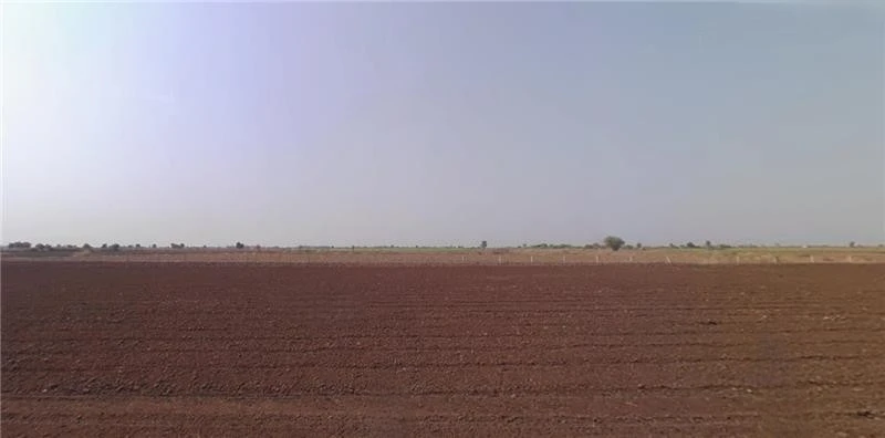 75HH+8CX, Kanz, Gujarat 382140, India