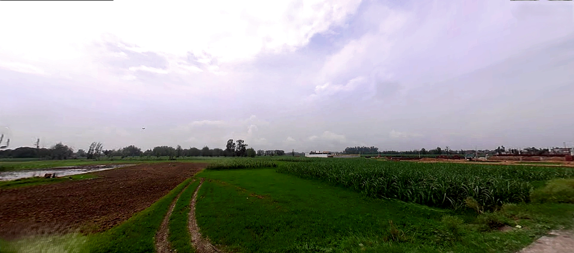 Jwalapur, Uttarakhand, India