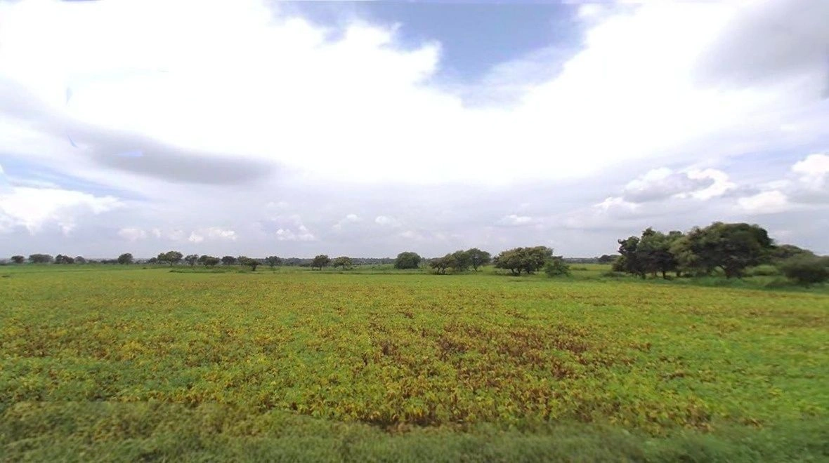 Basai, Madhya Pradesh 458888, India preview 3