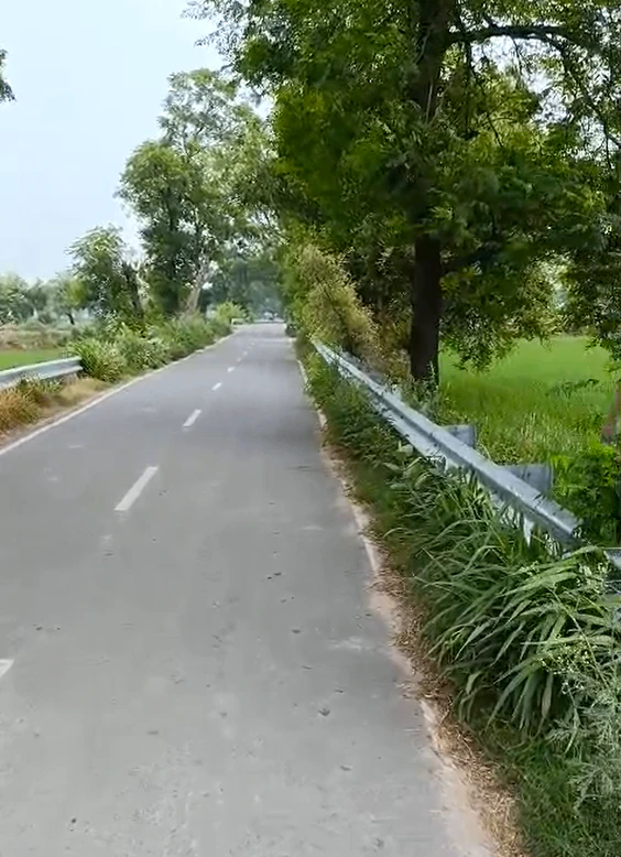 Ratia, Fatehabad, Haryana 125051, India
