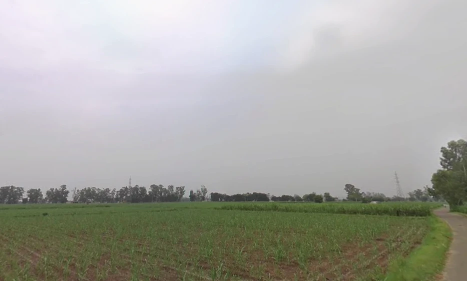 Muzaffarnagar, Uttar Pradesh, India