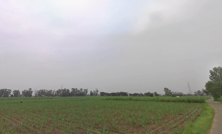 Muzaffarnagar, Uttar Pradesh, India