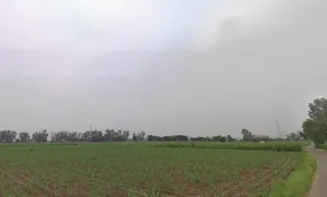 Muzaffarnagar, Uttar Pradesh, India preview 3