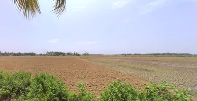 Kantilo, Odisha 752078, India preview 3