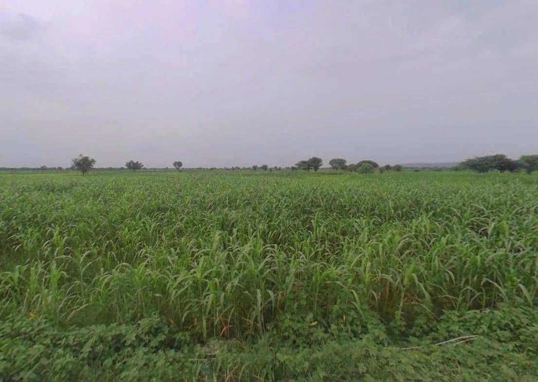 H2XV+M99, Sihawali, Rajasthan 321024, India