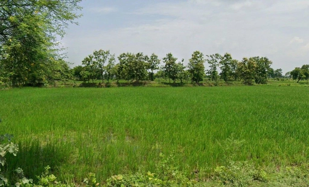 Bori, Chhattisgarh 491441, India