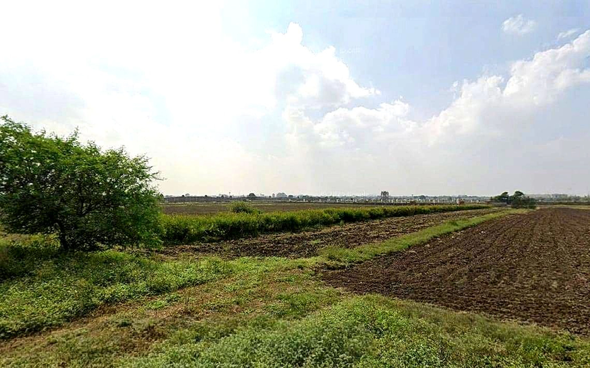 Kanadiya, Madhya Pradesh 452016, India