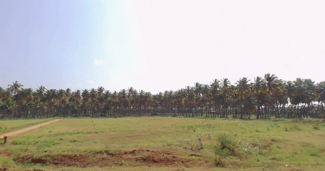 Nitte, Karnataka 574110, India