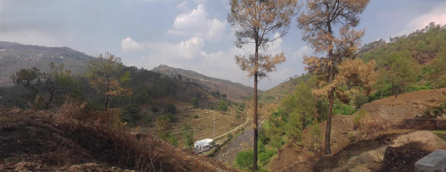 Tani, Uttarakhand 263643, India