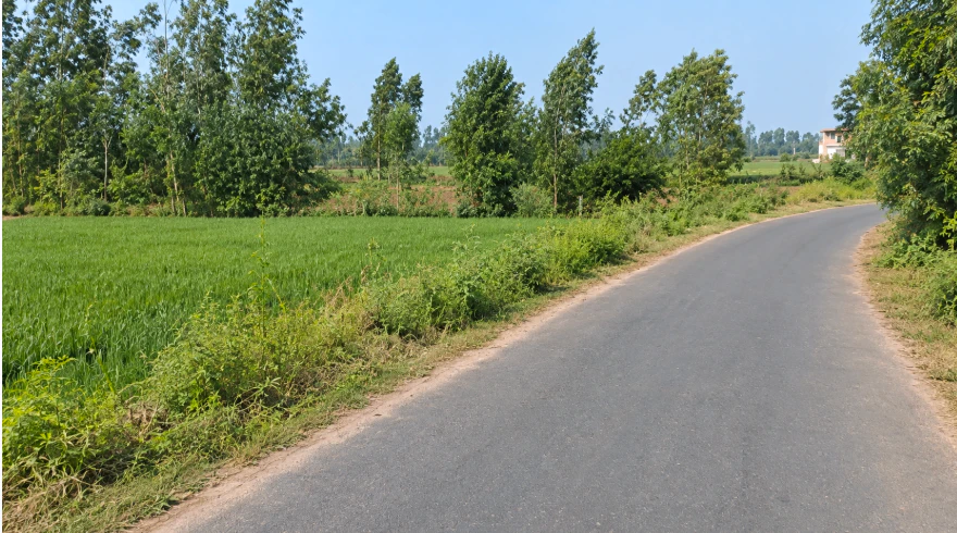 HCV3+MR Dulheypur Aheer, Amroha, Uttar Pradesh, India