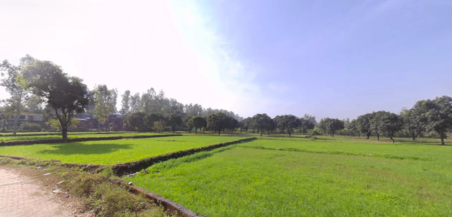 Dharmawala, Herbertpur, Uttarakhand 248142, India