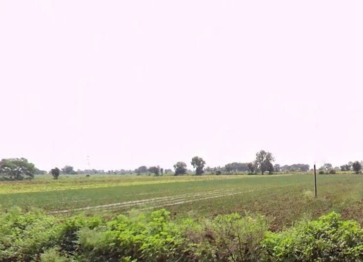Chhegaon Makhan, Madhya Pradesh 450771, India