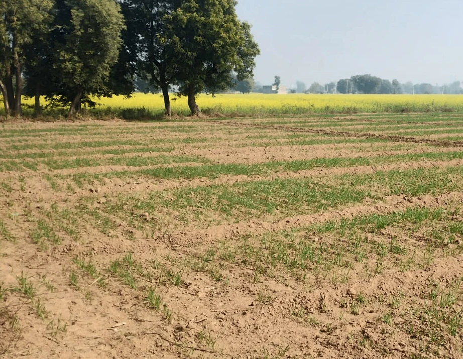 Bardiya Gujar, Mandsaur, Madhya Pradesh 458895, India