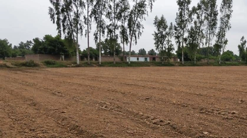 Barhana, Uttar Pradesh, India preview 2