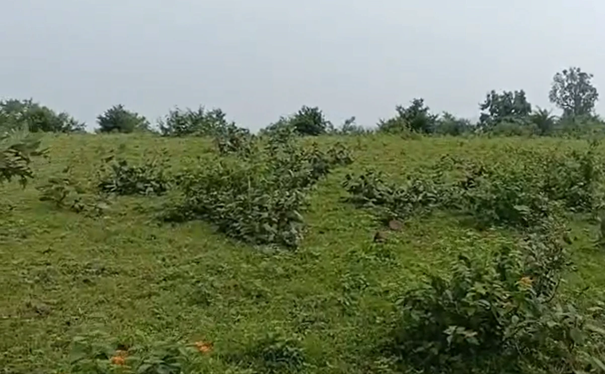 Sinod Rd, Ratlam, Sinod, Madhya Pradesh 457441, India