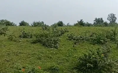 Sinod Rd, Ratlam, Sinod, Madhya Pradesh 457441, India preview 2