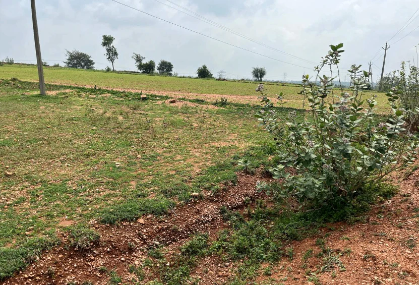 CVHR+556, Tonk, Bdoli, Rajasthan, India
