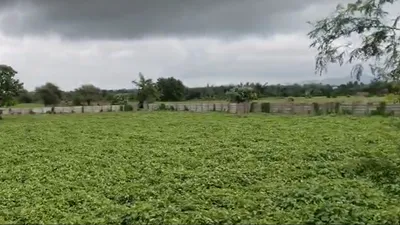 J4R8+FC6, Indore, Khandel, Madhya Pradesh 452016, India preview 2