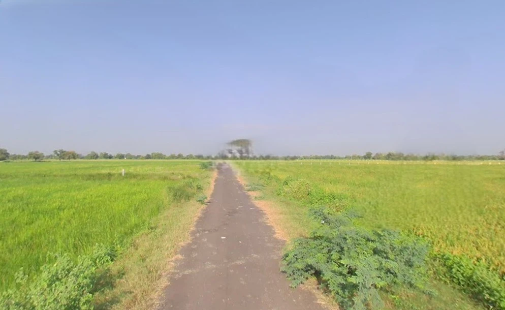 Sodhi, Barwala, Gujarat 382463, India