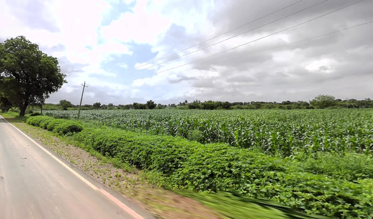 Savanur, Karnataka 581118, India