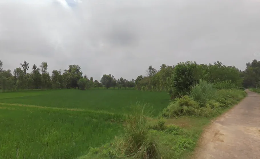 8M4M+HC Rashulpur Bahanpur, Uttar Pradesh, India preview 2