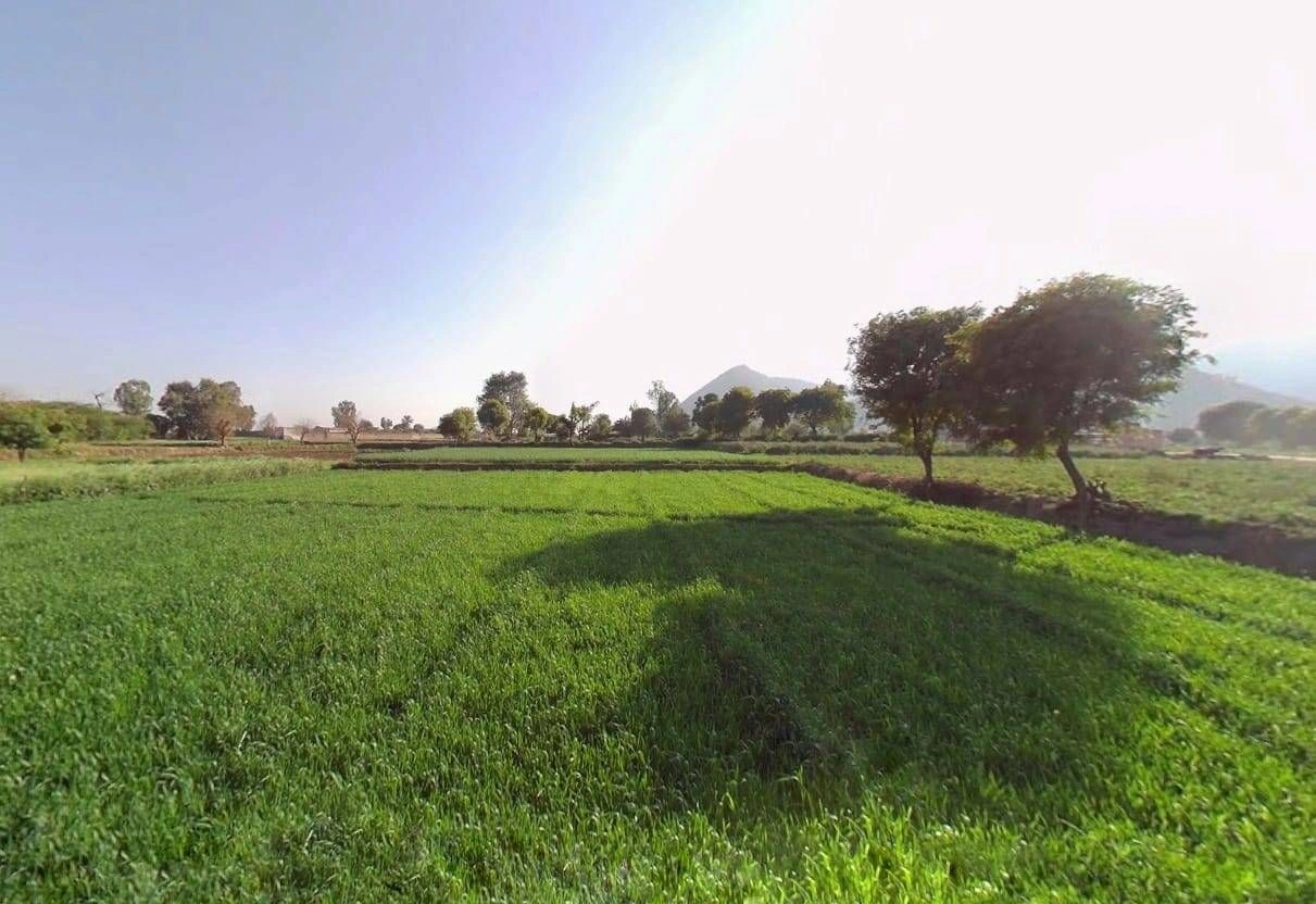 FHQ2+W5 Sahori, Rajasthan, India preview 3