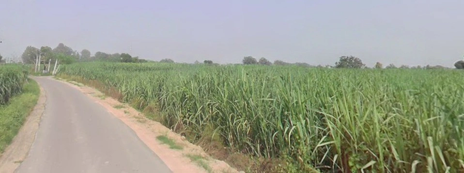 57XC+R75, Biral, Uttar Pradesh 250623, India