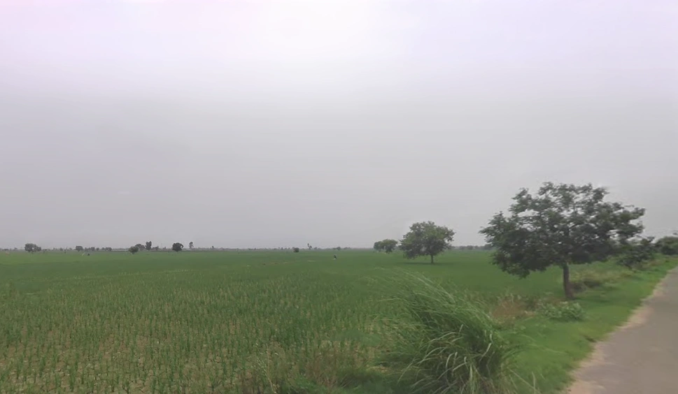 Saman, Haryana 124112, India