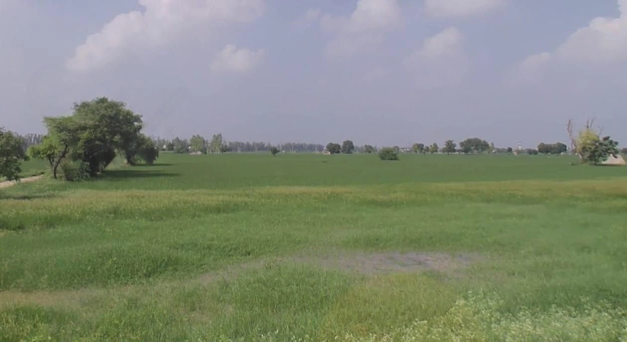 Richhi, Madhya Pradesh 455336, India preview 2