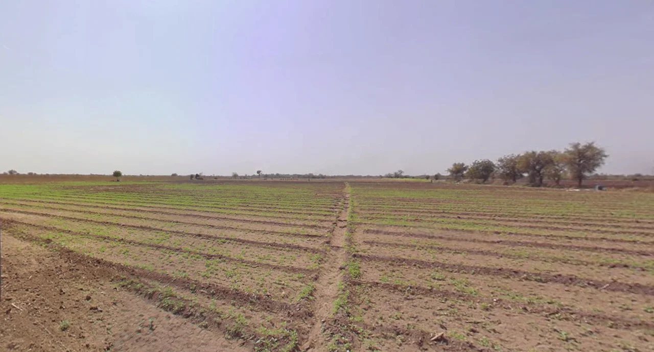 Derdi, Gujarat, India preview 3