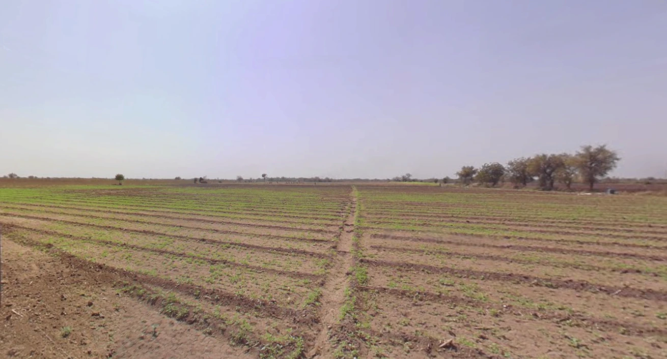 Derdi, Gujarat, India