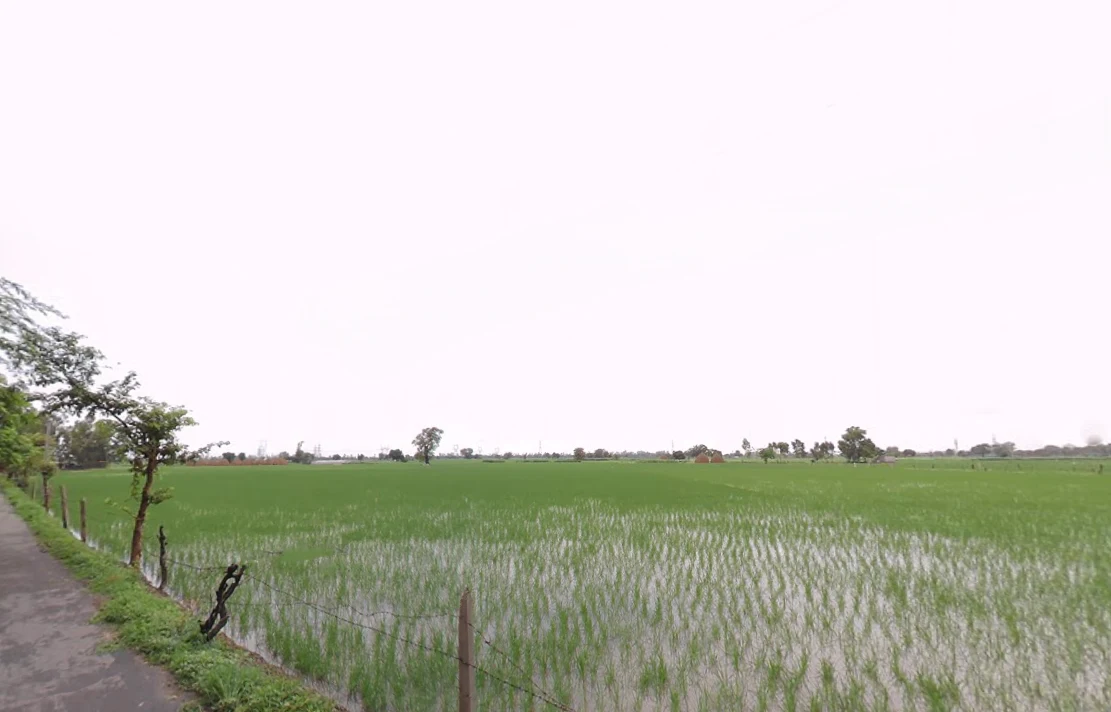 Theh Newal, Haryana 136034, India preview 2