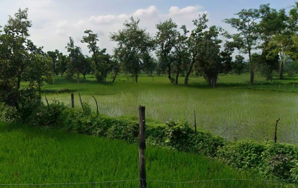 Giraud, Chhattisgarh 493221, India