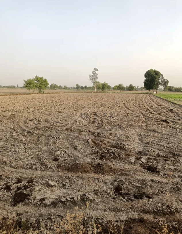 WCCV+RW Parli, Dausa, Rajasthan, India