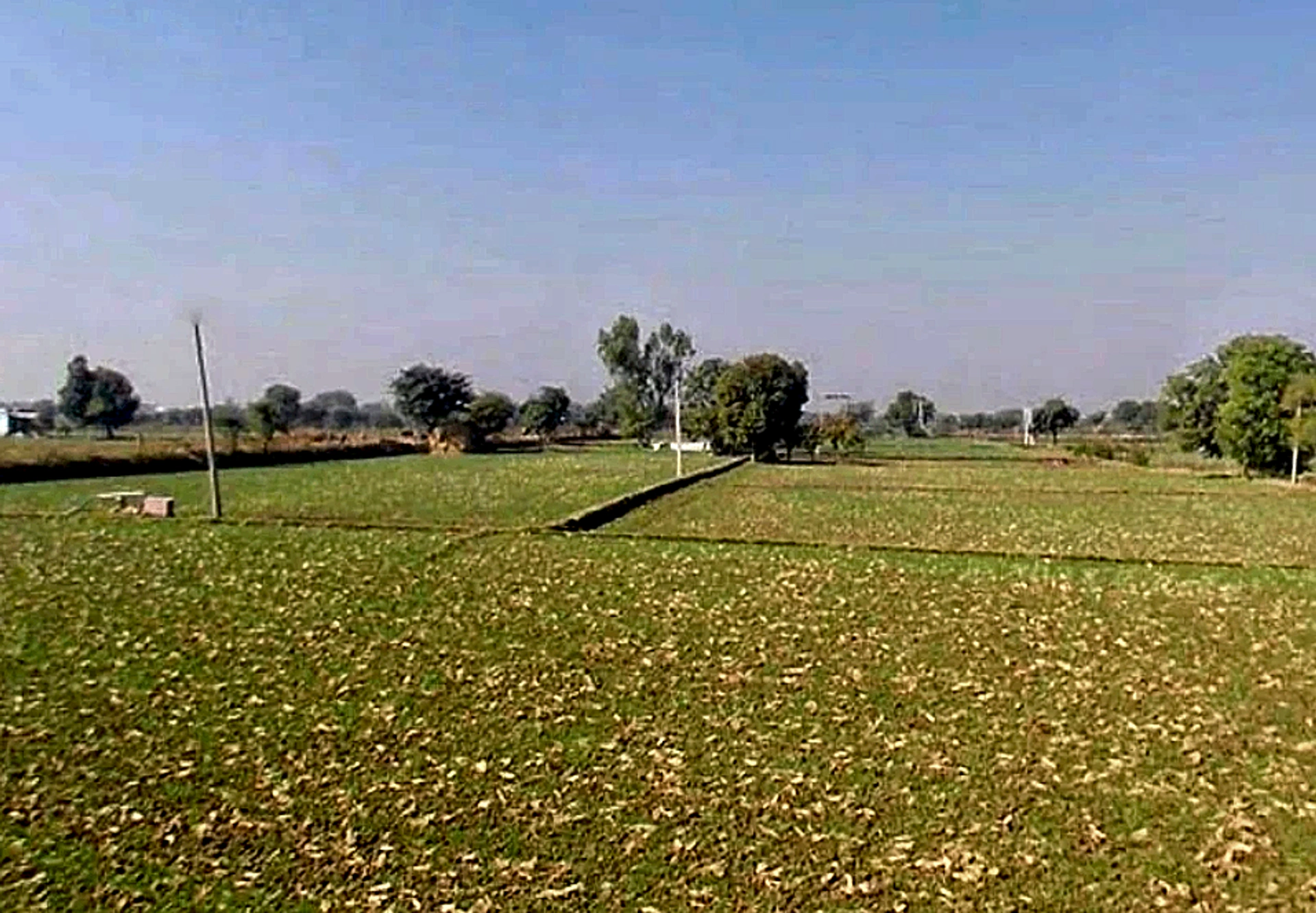 Morija, Rajasthan, India