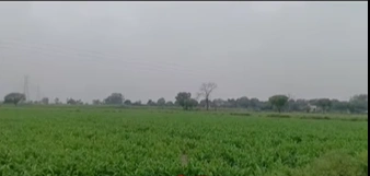 QH7C+VM Gangaram, Sangareddy, Telangana, India