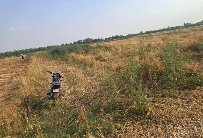 Barnagar, Madhya Pradesh 456771, India