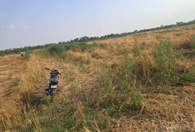 Barnagar, Madhya Pradesh 456771, India preview 2
