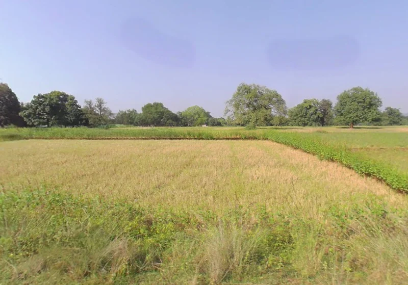 Duldula, Chhattisgarh 493101, India preview 3