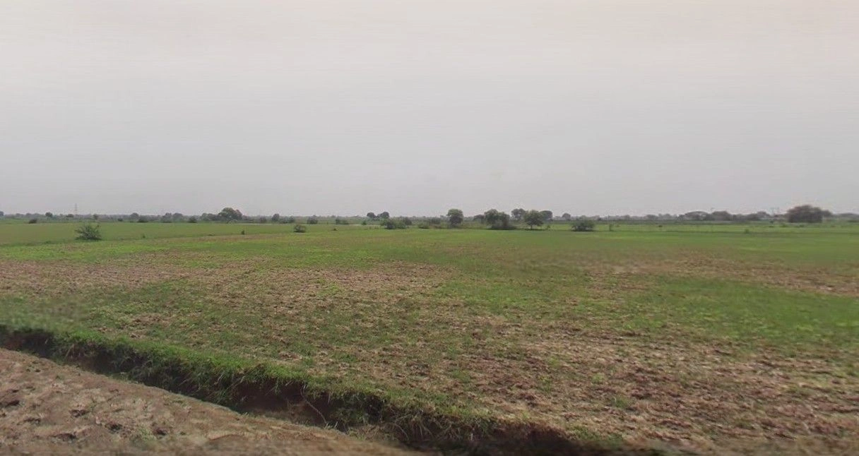 Kaladhungi, Uttarakhand 263140, India