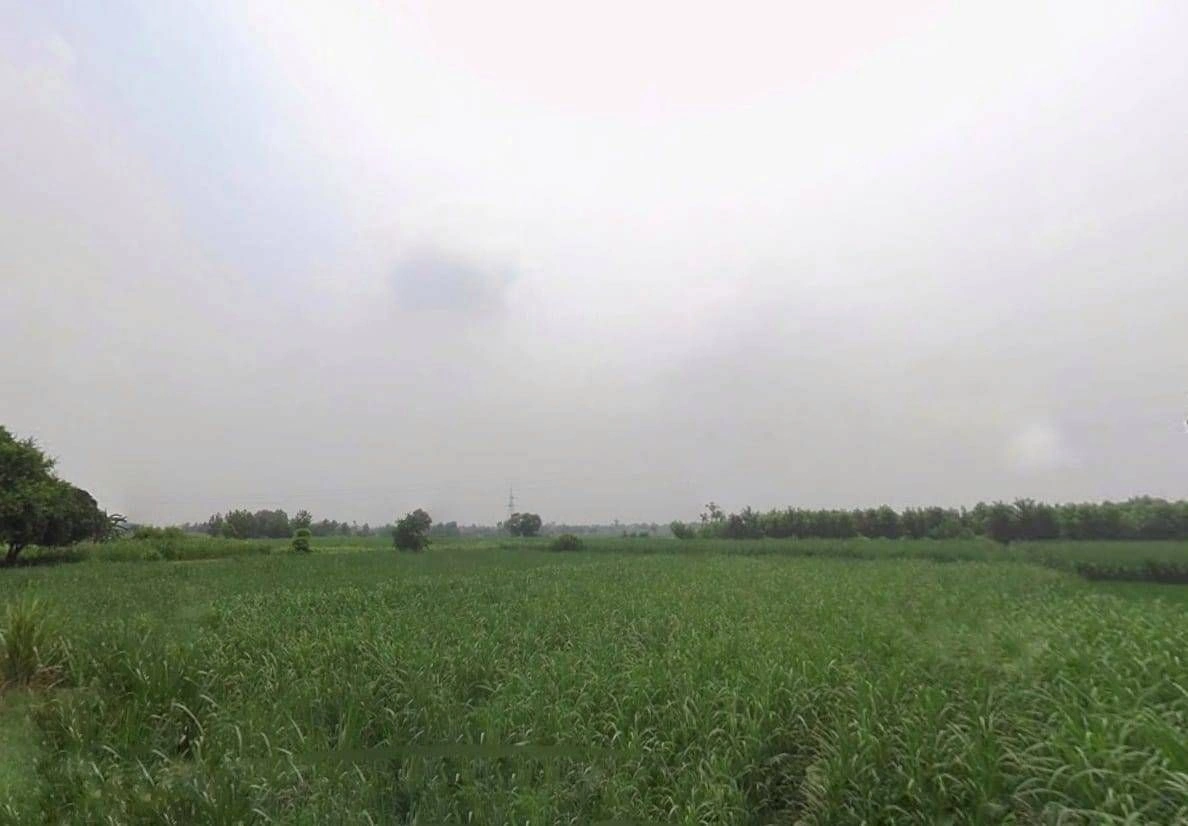 Painga, Uttar Pradesh 201204, India